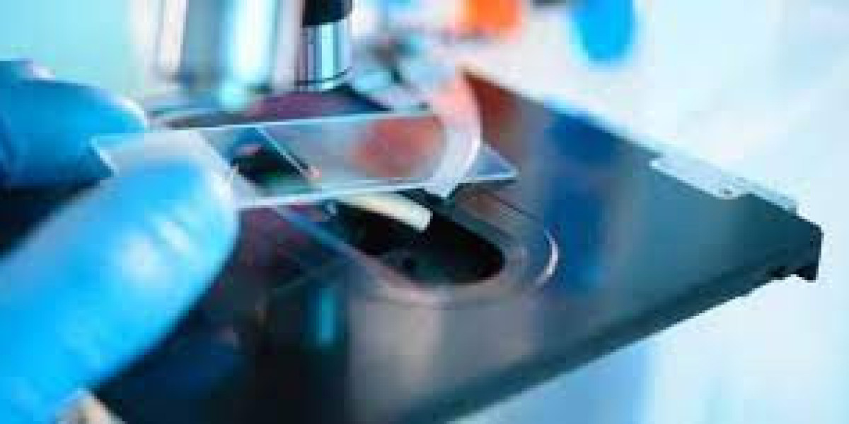 Hospital Acquired Disease Testing Market Size, Key Players Analysis And Forecast Report to 2032