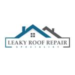 Leaky Roof Repair Specialis