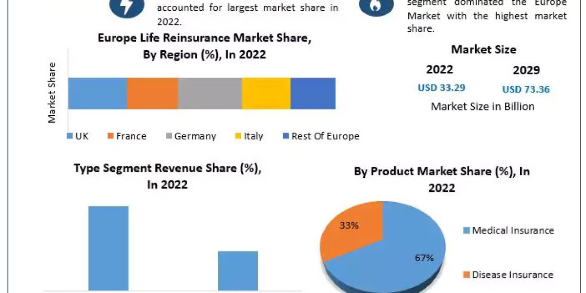 Europe Life Reinsurance Market To Have Significant Growth Rates 2022-2029