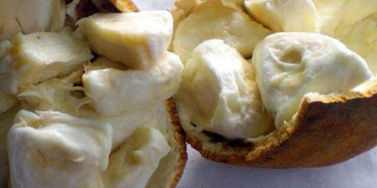 Exploring Cupuaçu Butter: From Rainforest Treasure to Global Sensation