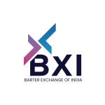 bxiworld_website