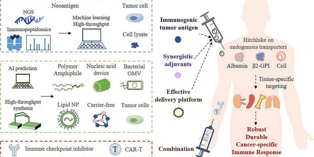 Small Molecule Drug Development at Alfa Cytology: Leading the Way in Cancer Research