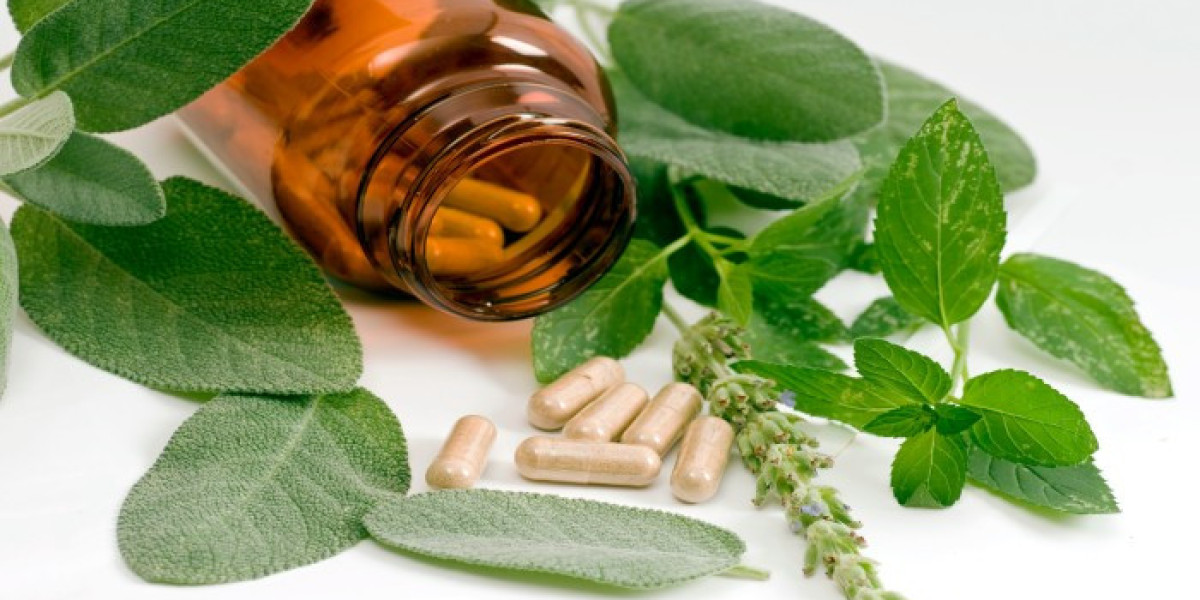 Herbal Medicinal Products Market to Grow at Highest Pace Owing to Increasing Demand for Natural Remedies