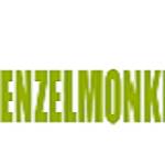 Enzelmonkey Lab Website Design and Development