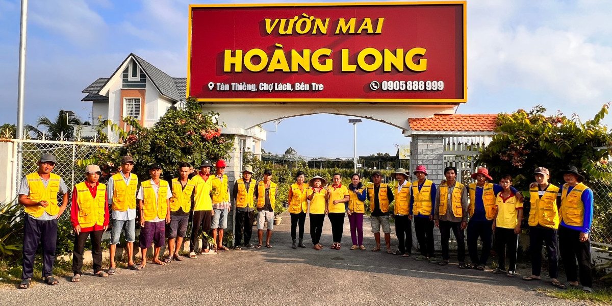 phương pháp chọn hoa mai đẹp, rộng rãi lộc đón Tết