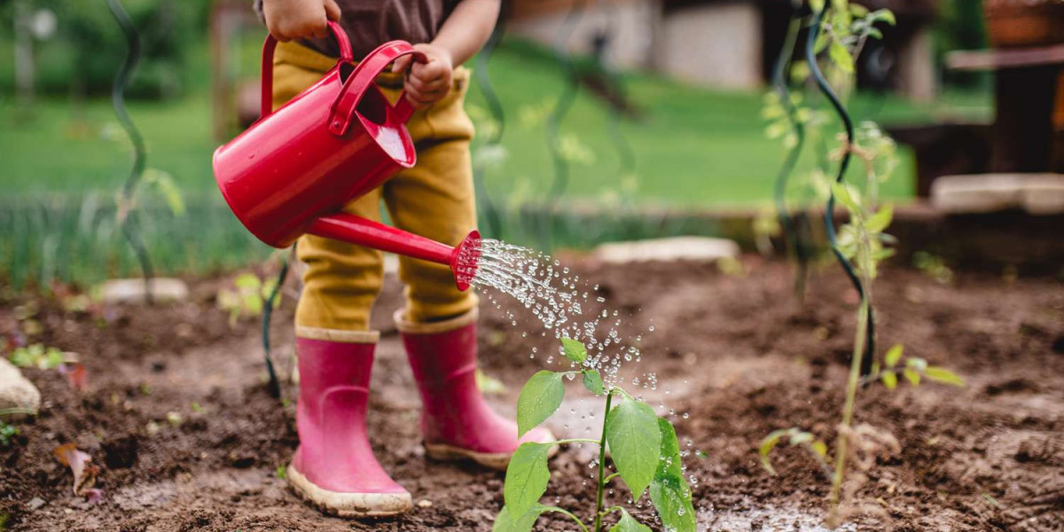 Gardening Shoes Market Size, Outlook Research Report 2023-2032