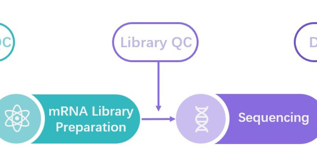 CD BioSciences Drives Cell Biology Discoveries with Innovative Cytoskeletal Interaction Assays