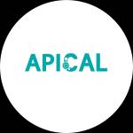 Apical Industrial Solution & Technology apical