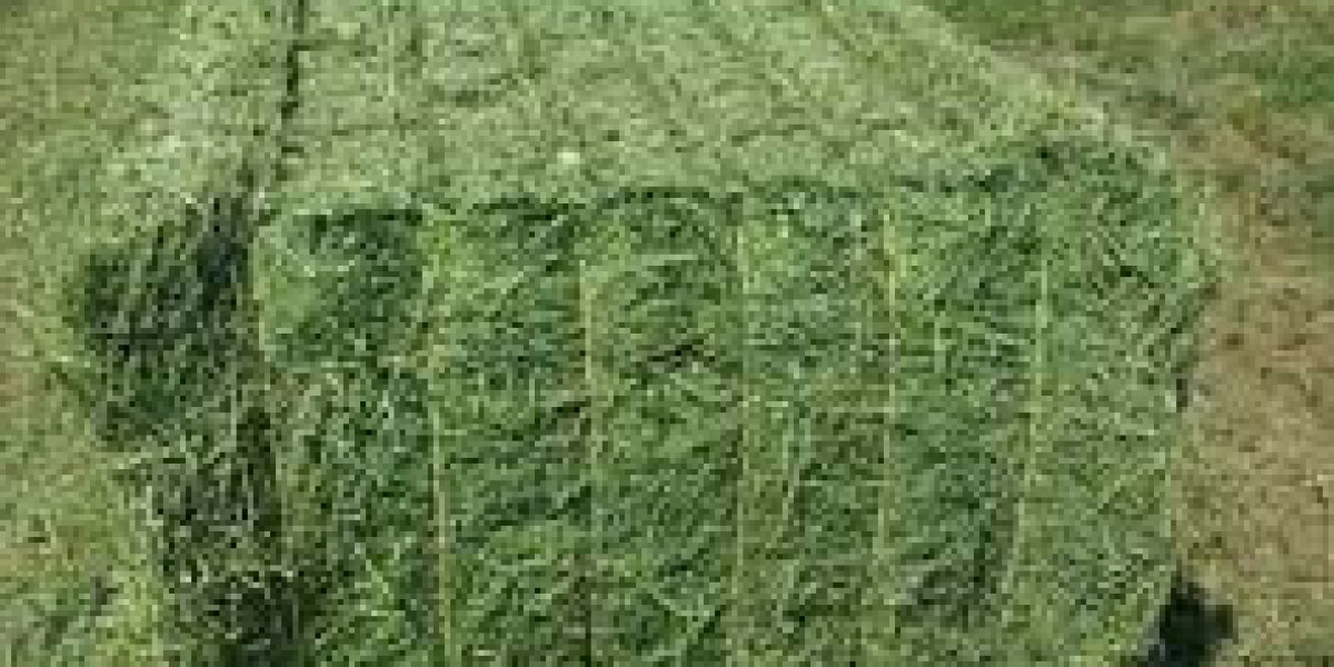 Global Alfalfa Hay Pellets Market Report, Latest Trends, Industry Opportunity & Forecast Report to 2032