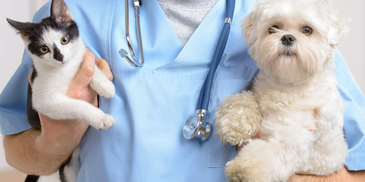 Veterinary Services: From Diagnosing Illnesses to Performing Surgeries