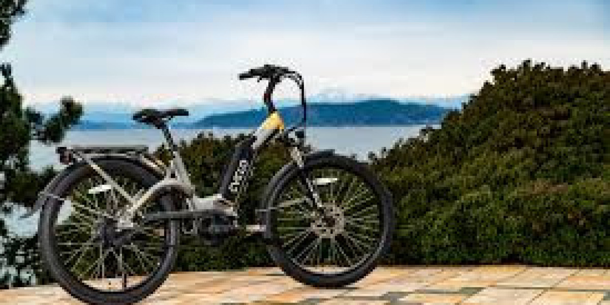 Shop High-Quality eBikes in South Africa