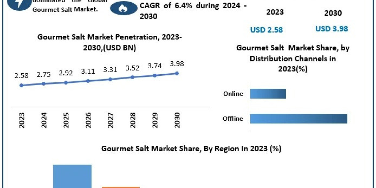 Gourmet Salt Market Analysis, Development Trend and Investment Feasibility 2030