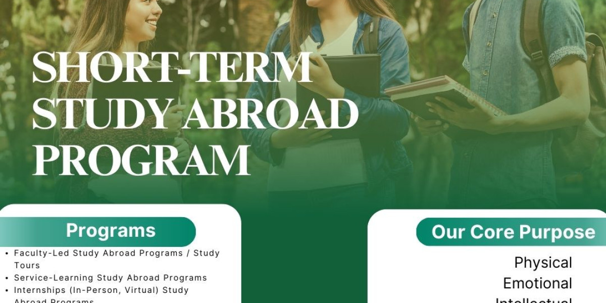 Study Abroad Programs That Offer Unique Cultural Experiences