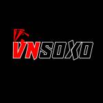 VNSOXO Info