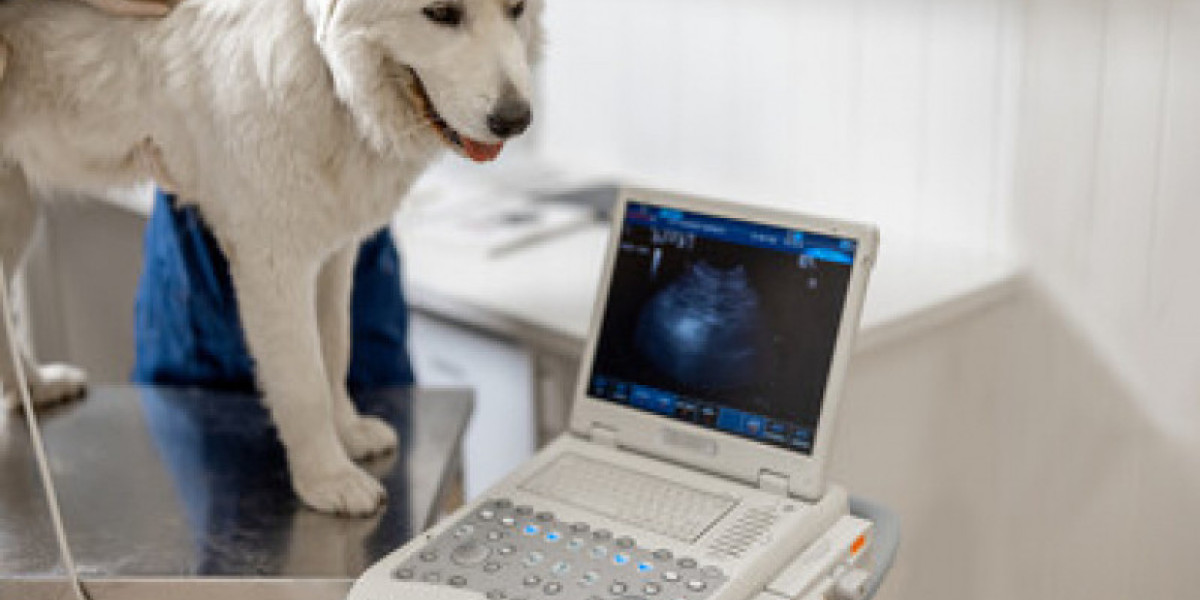 Mobile Veterinary Electrocardiogram ECG EKG