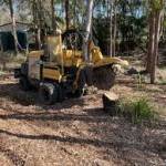 ASAP Stump Grinding