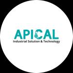 Apical Industrial Solution Technology