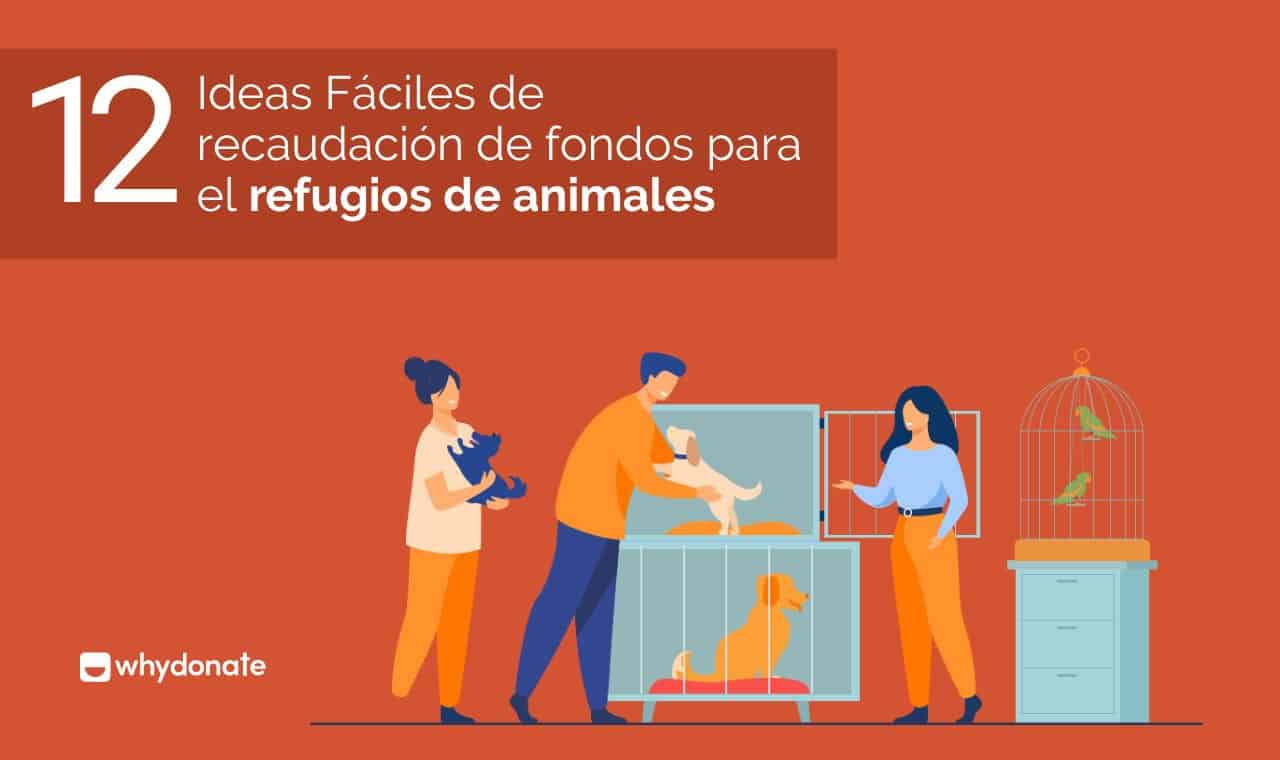 Recaudar Dinero Hoy Para Refugios De Animales @WhyDonate