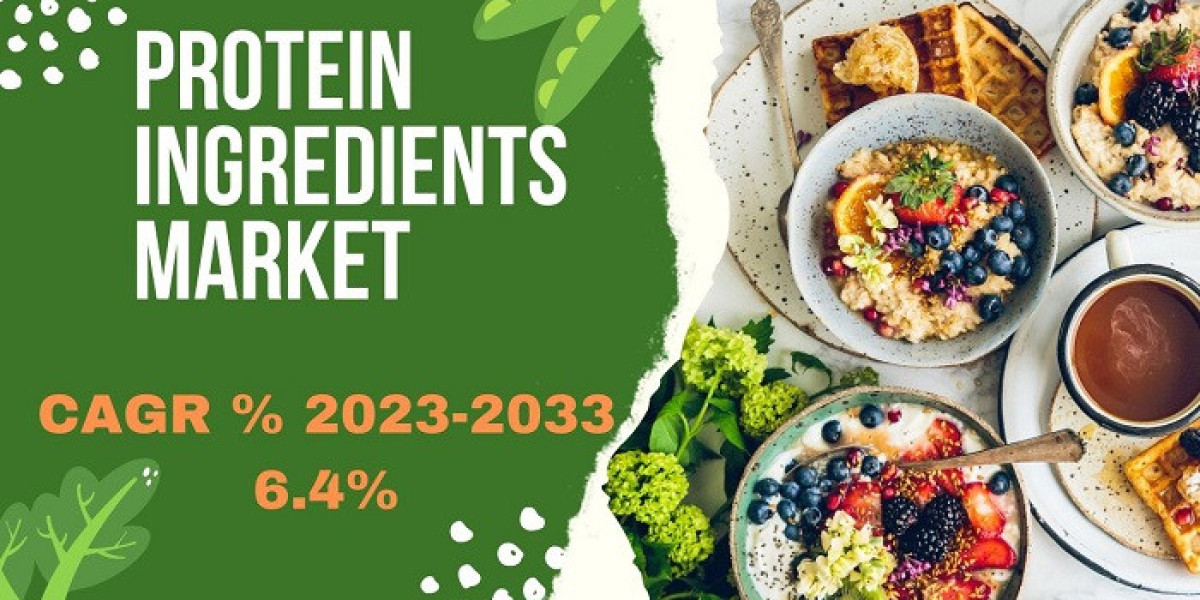 Protein Ingredients Market Growth Trends Analysis and Dynamic Demand, Forecast 2024 to  2033