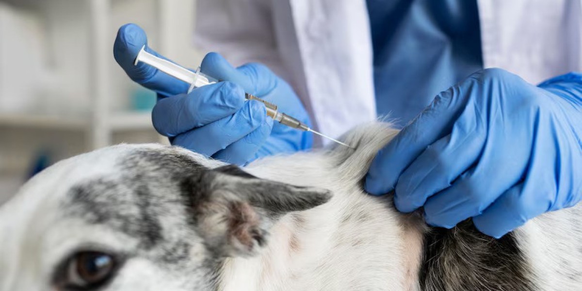 Comprehensive Analysis of the Global Animal Vaccines Market