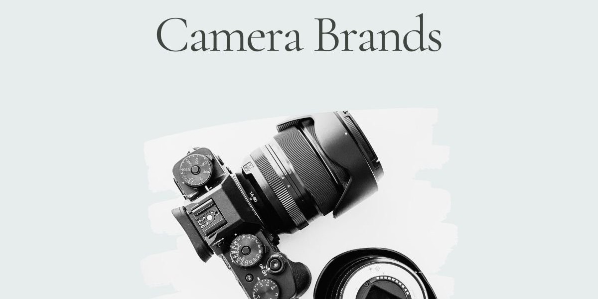 The Best Cameras for Photography: A Guide for Capturing Your Passion