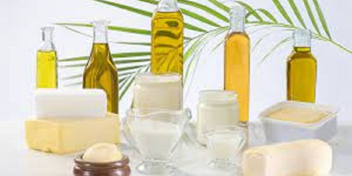 Specialty Fats and Oils Industry Trends Driven by Growth in Confectionery and Bakery Sectors