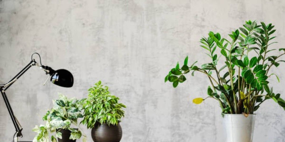 Exploring Rare Plants, Easy Care Plants, and Hanging Plants for Your Home Garden