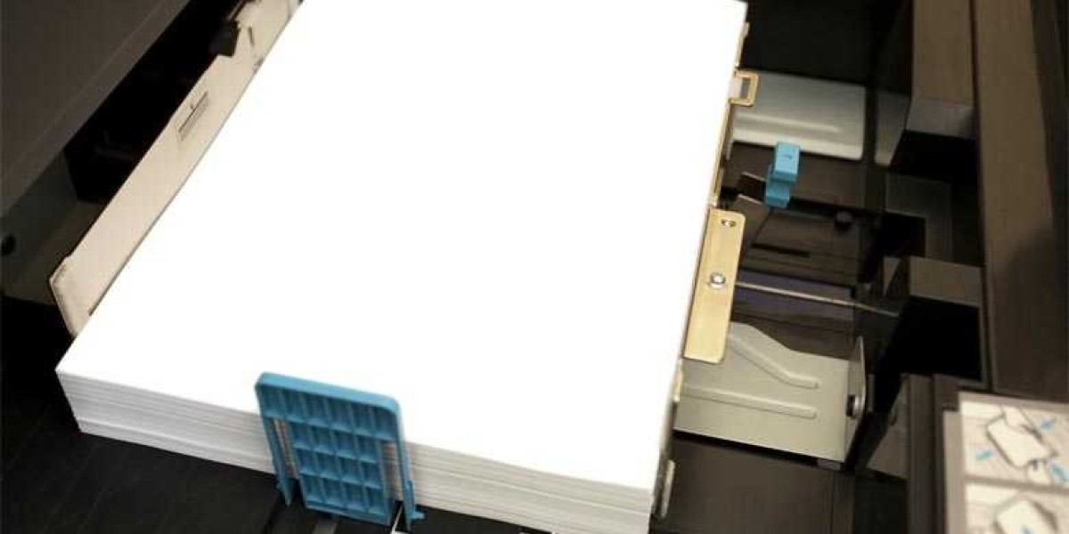 Copier Paper Market Outlook, Current and Future Industry Landscape Analysis 2033