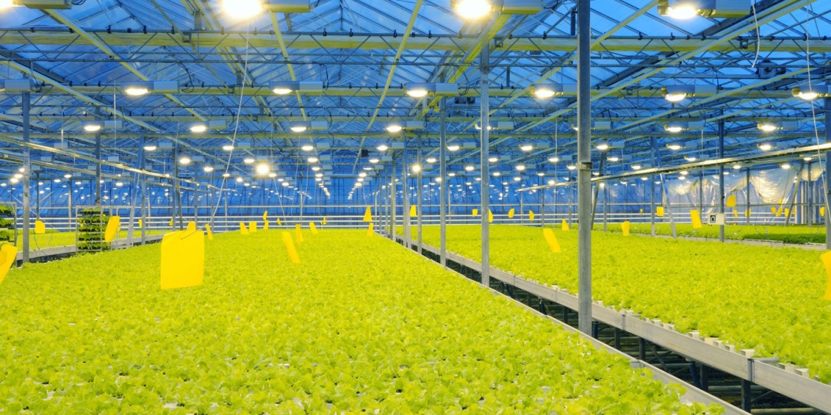 Horticulture LED Lighting Market Growth Driven by Increasing Adoption in Greenhouses and Vertical Farms