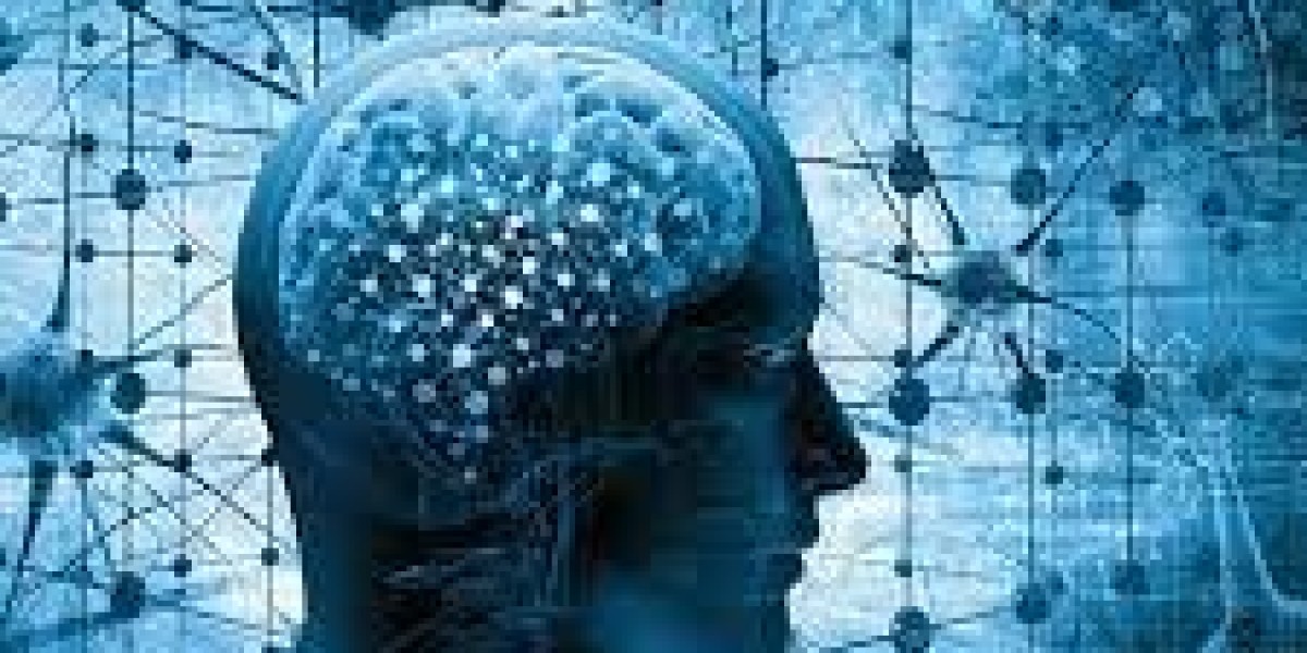 Neuroplasticity Market is Estimated to Witness High Growth Owing to Advances in Neuroscience Technologies