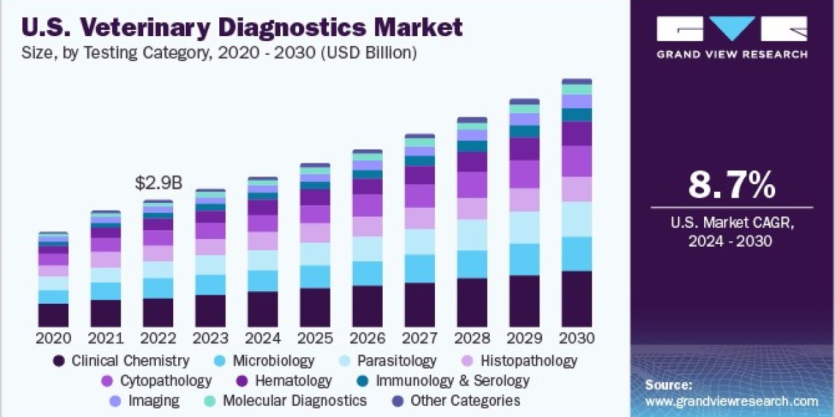 Veterinary Diagnostics Market Workforce: Skills and Training Needed for Future Veterinary Practices