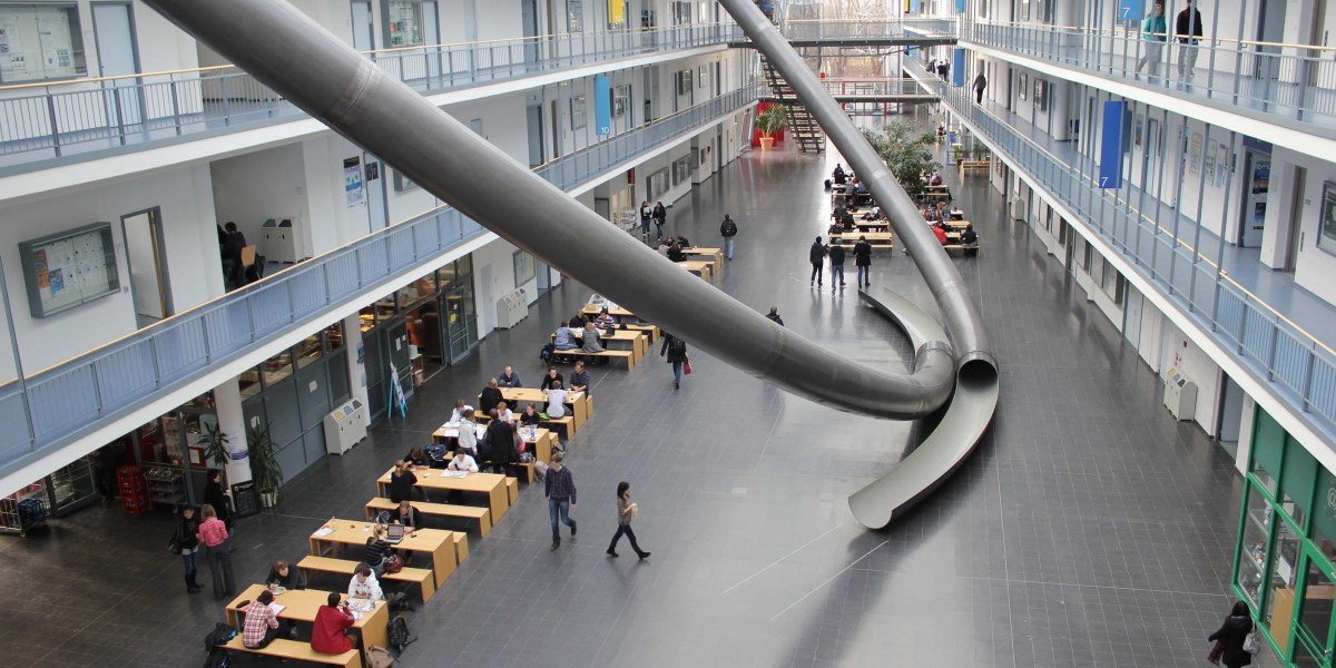 Engineering, Art, or Business? The Diverse Fields of Study in Germany