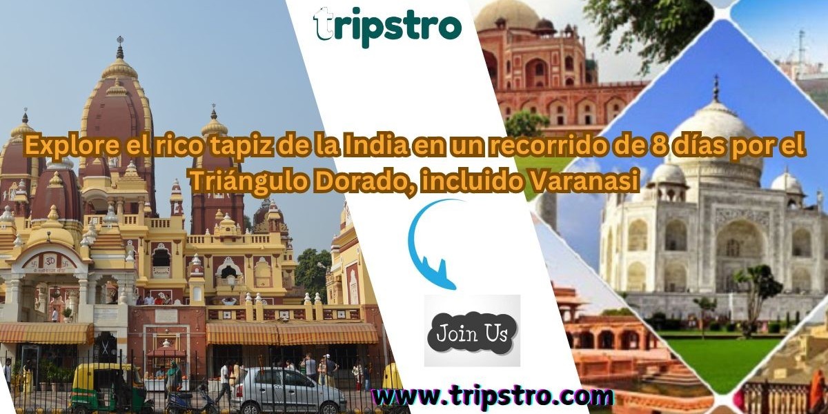 Explore el rico tapiz de la India en un recorrido de 8 días por el Triángulo Dorado, incluido Varanasi