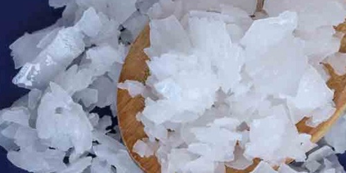 Magnesium Chloride Market Trends Driven by Growing Applications in Food and Pharmaceutical Industries