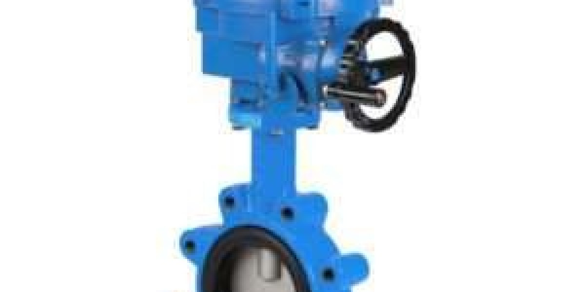 Electric Actuated Butterfly Valve manufacturer in USA