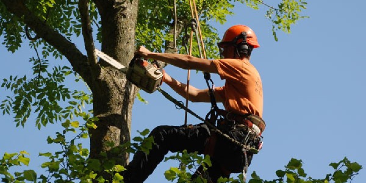 Expert Tree Surgeon Services in Bradford | Bradford Tree Surgeon Solutions