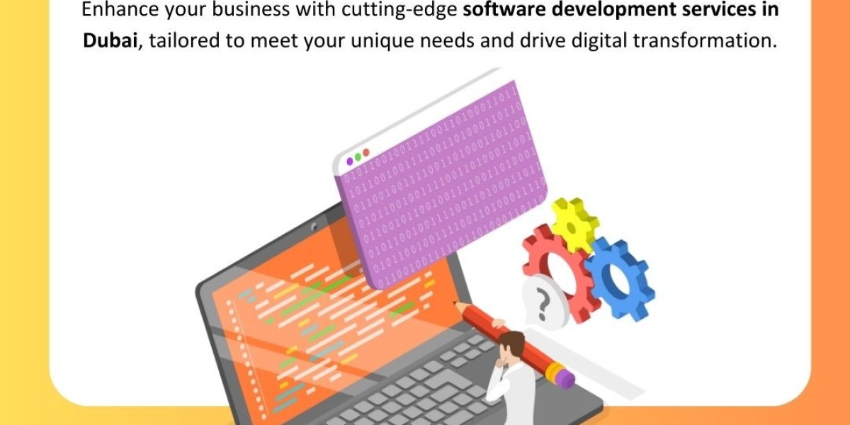 Innovative Software Development Services Tailored for Dubai