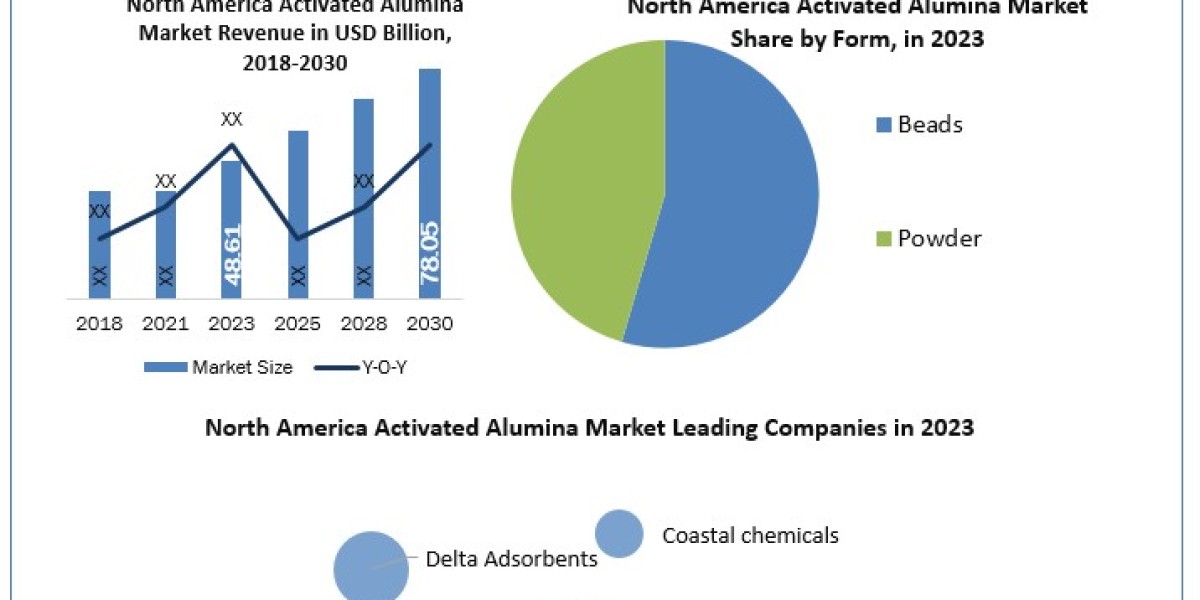 North America Activated Alumina Industry Is Likely to Experience a Massive Growth in Near Future