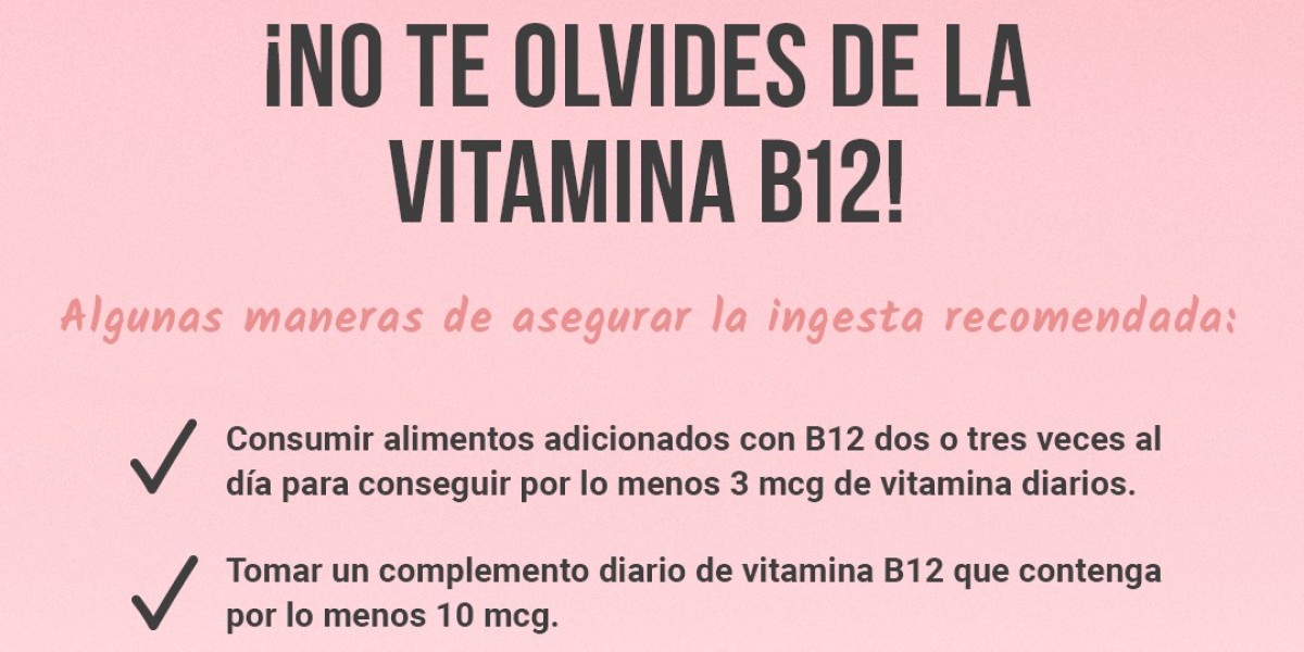 Propiedades y beneficios de comer gelatina a diario Guía 【2024】