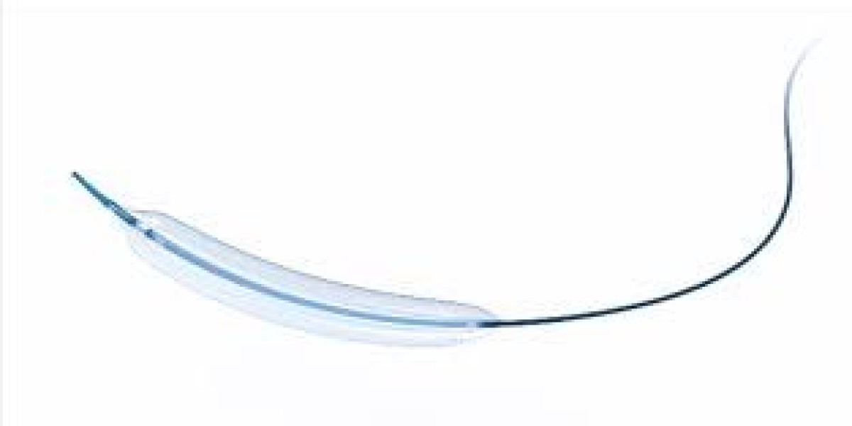 US PTA Balloon Catheter Market Size, Share, Trend, Forecasts to 2033