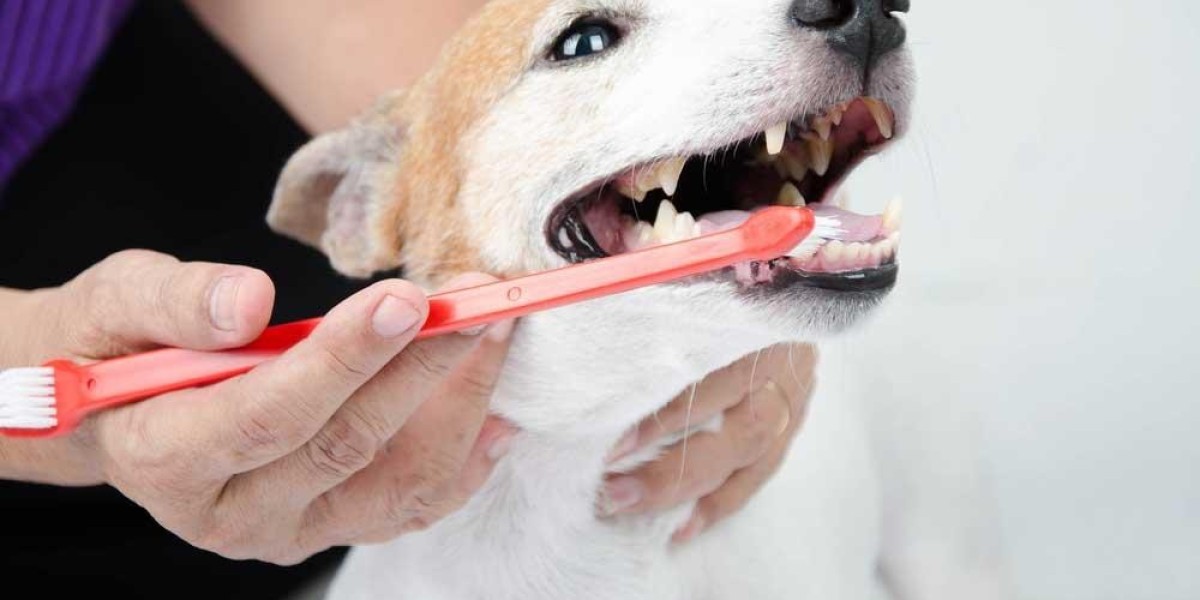 US Pet Dental Health Market Growth, Share, Forecasts to 2033