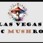 Psychedelic Mushrooms for sale in Las Vegas