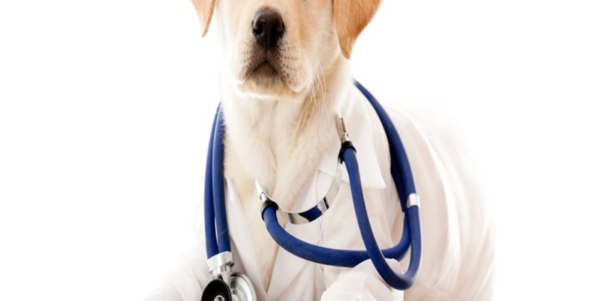 The Europe Animal Healthcare Market is in trends by increasing pet adoption amid