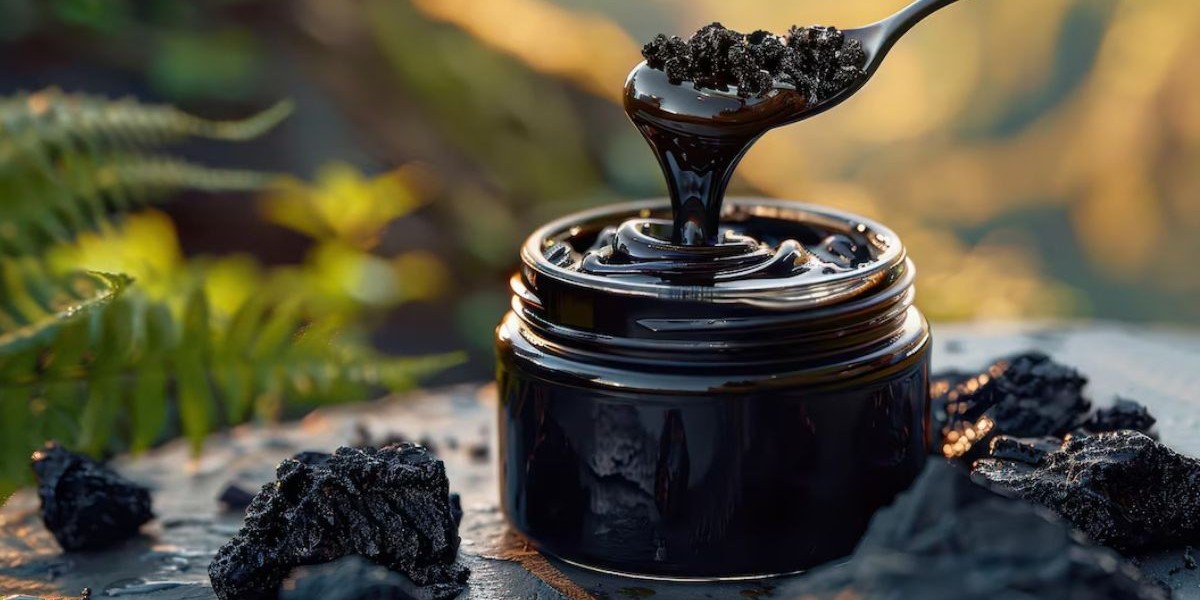 Harness the Healing Power of Pure Shilajit for a Healthier Life