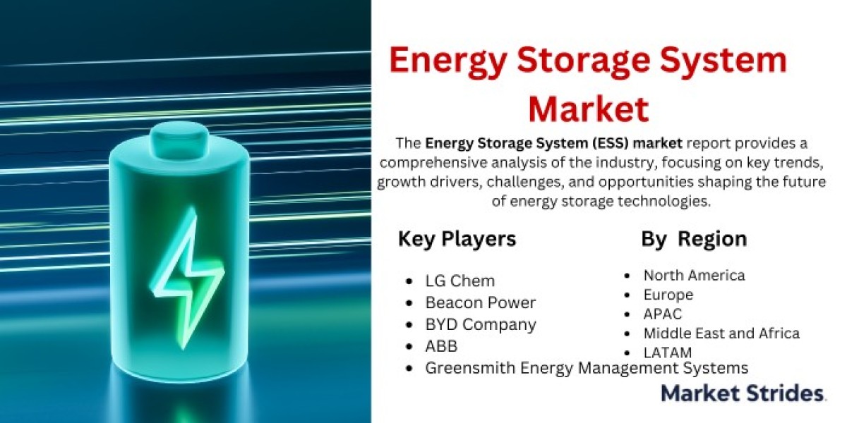 Energy Storage System Market Future Trends, Developments, and Growth Opportunities 2024-2032