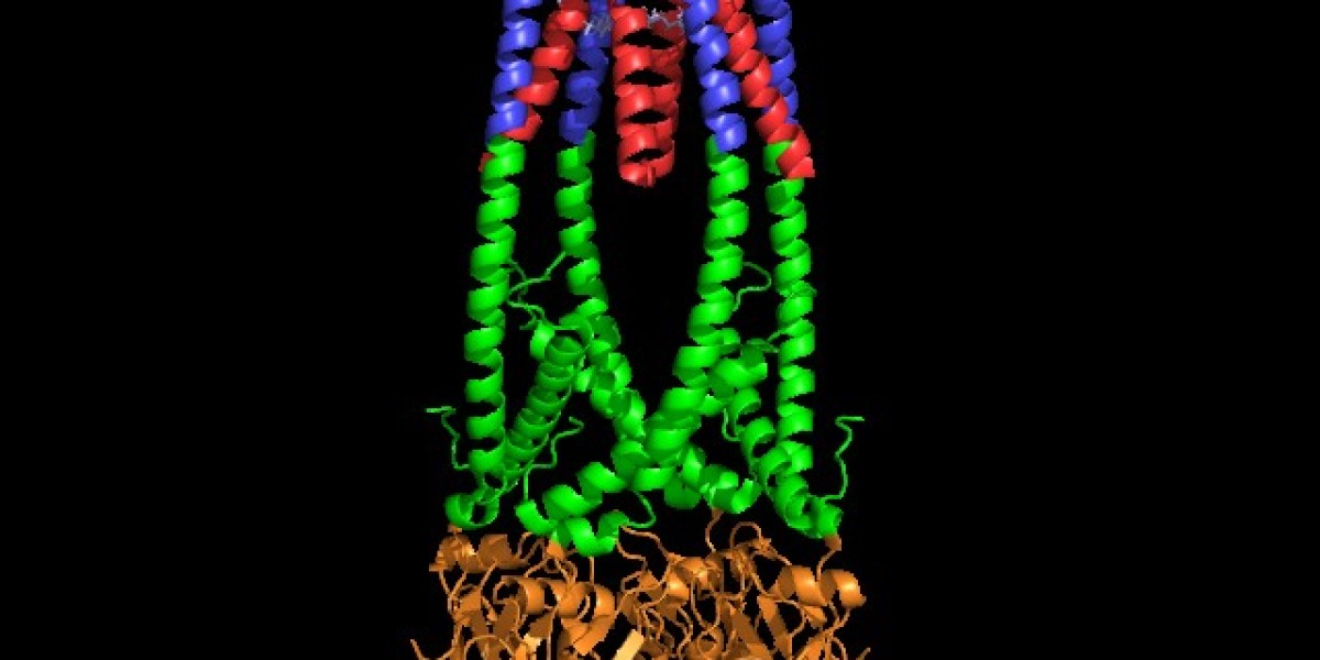 Global Lipase Market Size, Share, Analysis and Forecast 2023 - 2033