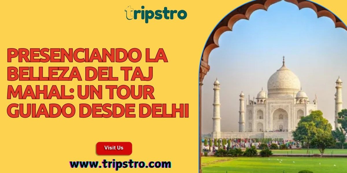 Presenciando la Belleza del Taj Mahal: Un Tour Guiado desde Delhi