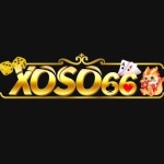 Xoso 66