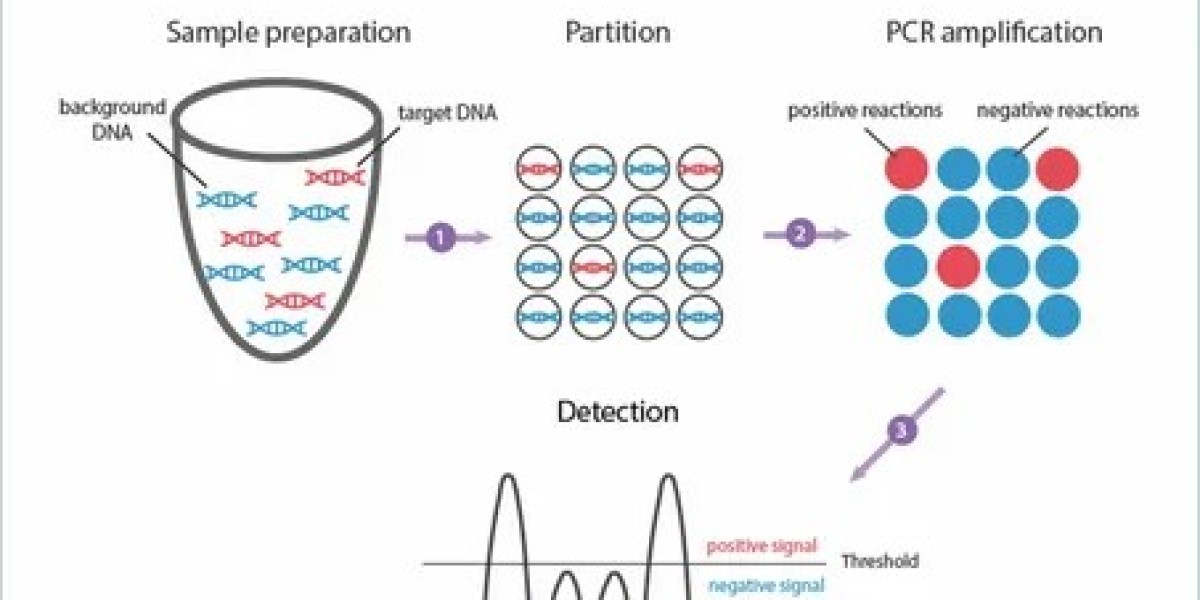 Digital PCR Market Size Expansion to Drive Significant Revenues in the Future