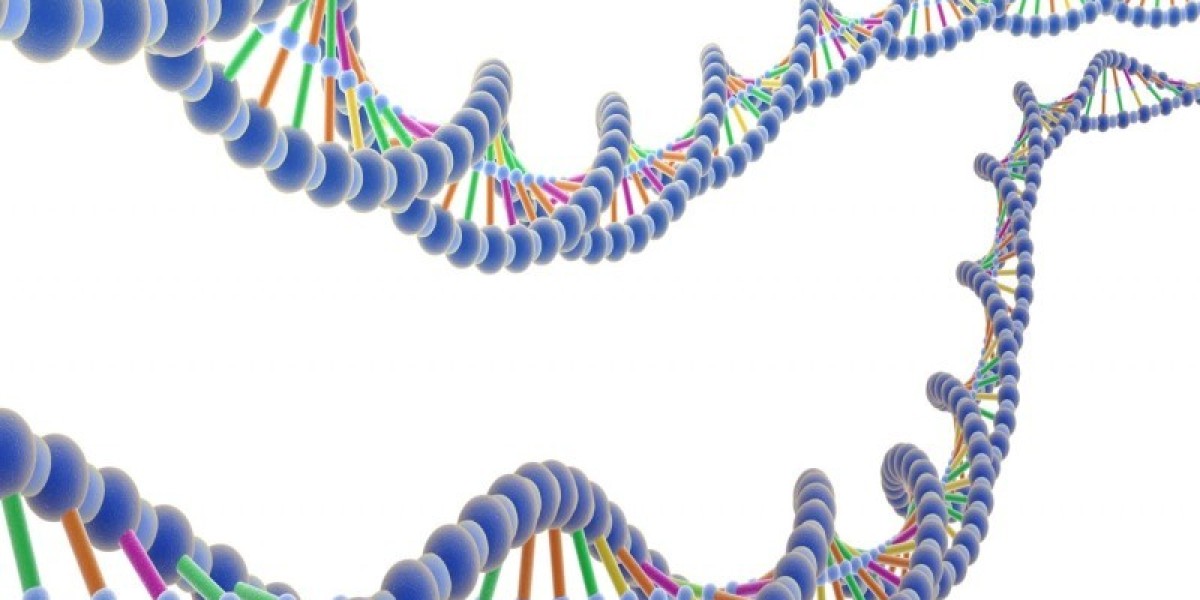 DNA and RNA Sample Preparation for Downstream Applications